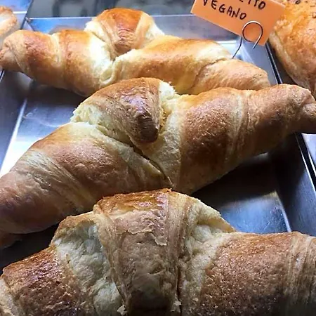 Incentroscalea Frühstückspension